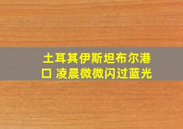 土耳其伊斯坦布尔港口 凌晨微微闪过蓝光